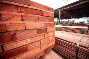 hout