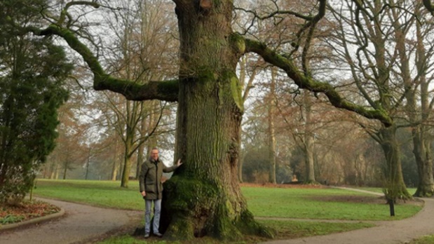 Nomineer een boom voor Nationale Bomen Top 50