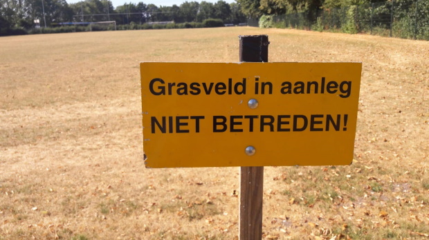 Grasveld