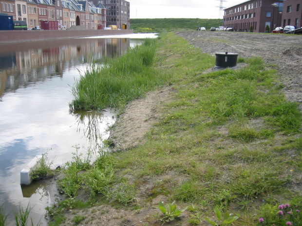 oppervlaktewater Broekpolder Beverwijk