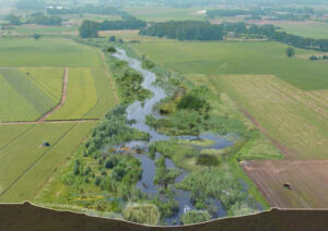 Limburg: in de haarvaten van de Delta