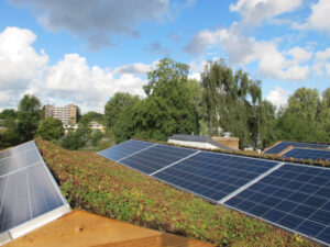 Zonnepanelen en groen op een dak