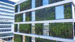 gebouw met groen