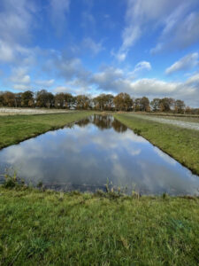 Water in de natuur