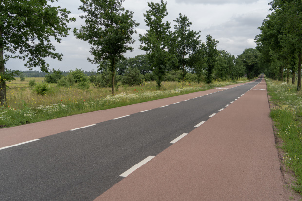 Gekleurde fietssuggestiestroken op een asfaltweg.