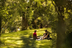 Mensen in een groen park