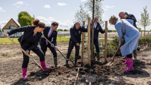 Groep mensen die een boom planten