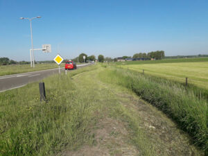 Gefaseerd maaibeheer.