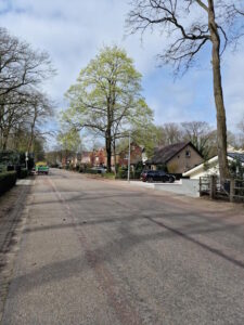 Groen in apeldoorn