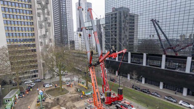 Proces verplaatsen voor bomen