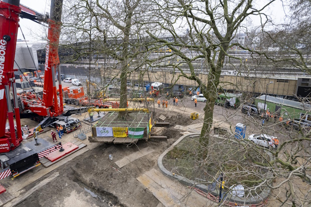 Proces verplaatsen voor bomen (2)