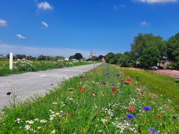 EUROGRASS Dijken Basis Gras Hasselt Landscape